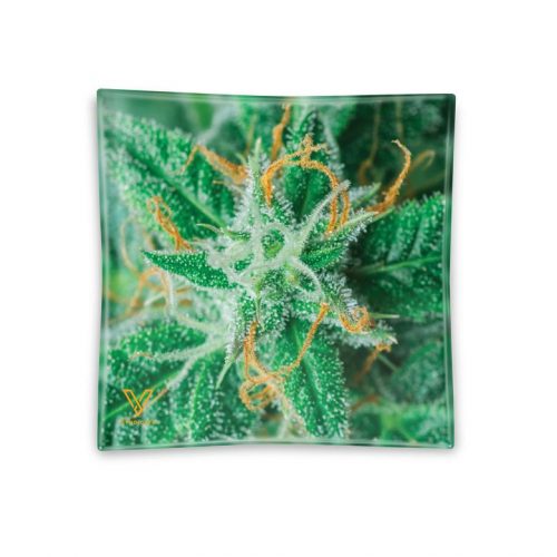 Glass Ashtray AK 47