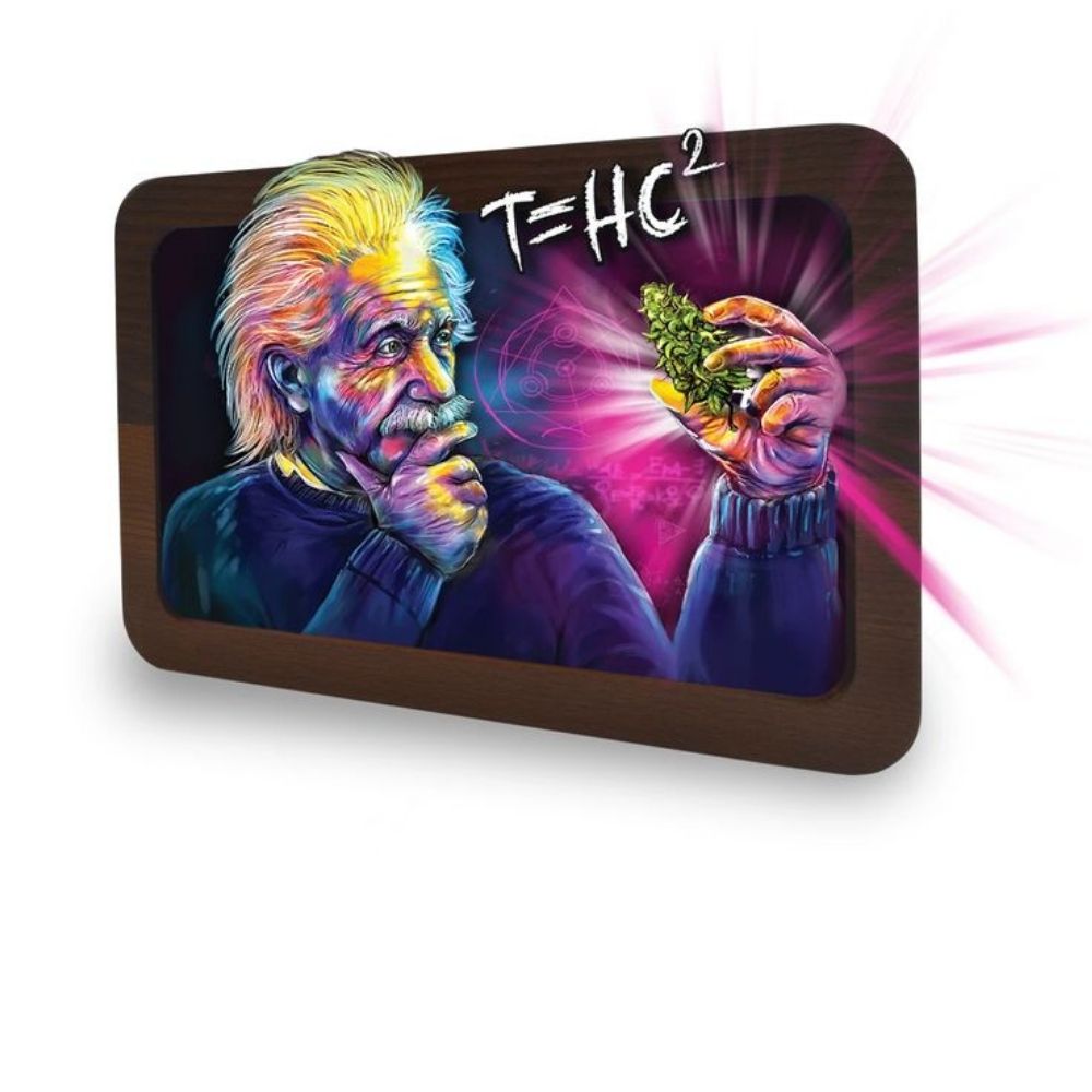V Syndicate 3D High Def Wood Tray T=HC 2 Einstein Medium