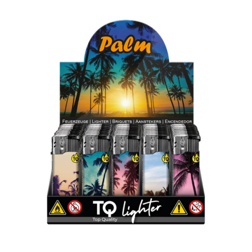 Aanstekers Palm (50)